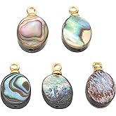 PATIKIL Water Drop Paua Shell Pendant Sea Abalone Shell Shell Shell