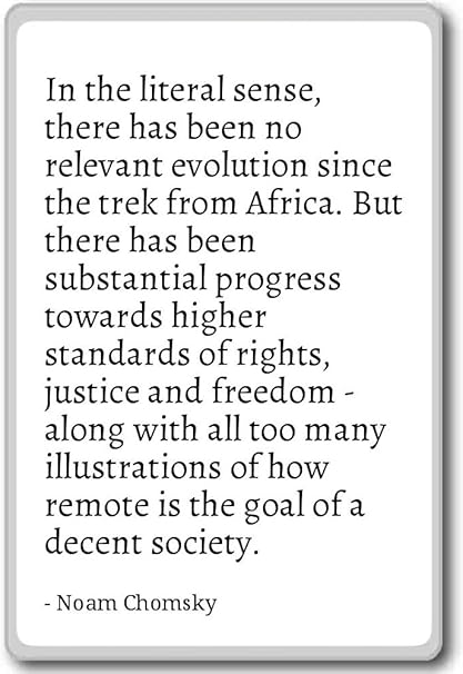 Amazon リテラル意味でのがない されたreleva Noam Chomsky 引用冷蔵庫マグネット Mgnquo W Photomagnets ホーム キッチン 通販