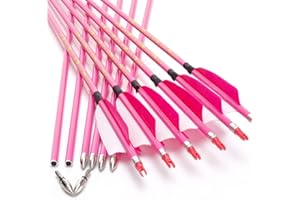 annastar 30" Carbon Feather Arrows Practice Hunting Arrows Spine 300 340 400 500 600 700 800 for Recurve Bow & Compound Bow (12 pcs)