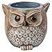 ANTS Speaker Stand Case Compatible Amazon Echo Dot (2nd or 1st Generation). Alexa Echo Dots Owl Statue Crafted Guard Station （Brown）