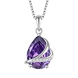 Rocayi February Birthstone Necklace for Women 925