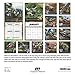Motocross 2018: 16 Month Calendar Includes September 2017 Through December 2018