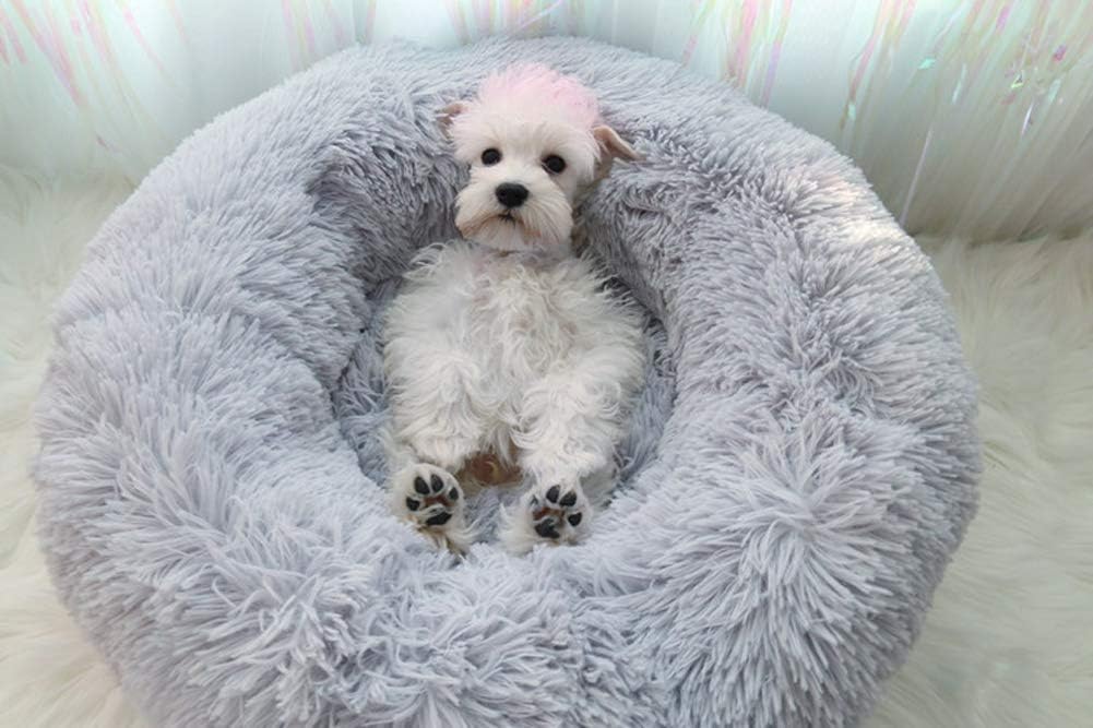 Snug Comfort Dog Donut Bed, Pet Bed for Cats and Small Medium Dogs