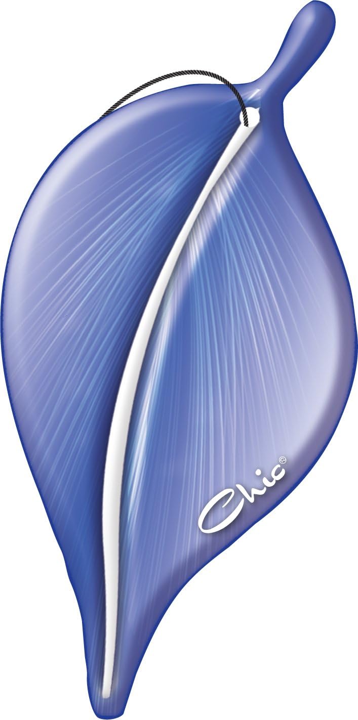 Chic Accessories A3008 Fresh Scents New Car Scents Paper Air Freshener, (Pack of 3)