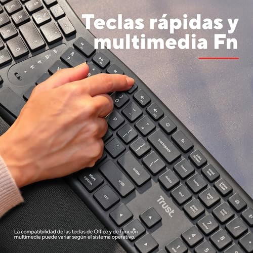 Arvia Teclado Ergonómico Inalámbrico QWERTY Español, Negro