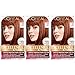 L'Oreal Paris Excellence Creme Permanent Hair Color, 6R light Auburn, 100 percent Gray Coverage Hair Dye, Pack of 3