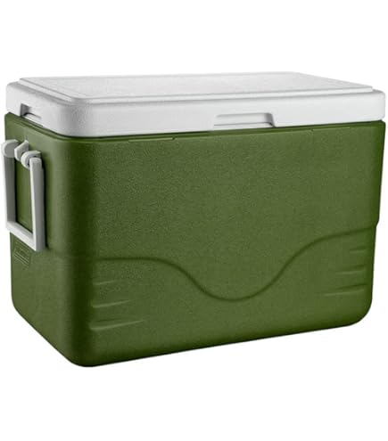 【6個セット_2026.5月末】BC-365XL ブラック Caixa Térmica 26,5L Personal All Black Coleman | Amazon.com.br