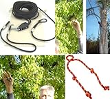 WOSS Gear, 2in Slackline - Made in USA (Xtra: Add-On Helpline)