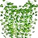 12 Pack 83 Ft Artificial Ivy Leaf Plants Fake Vines Greenery Ivy Garland Hanging Fake Foliage for Wedding Party Garden Office Wall Decor