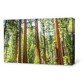 Canvas Wall Art for Living Room,Bedroom Home Artwork Paintings Red Wood Ready to Hang - 12x18 inches