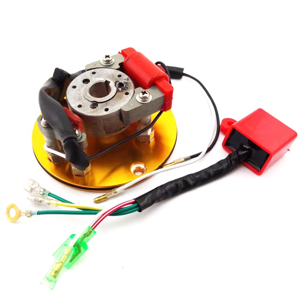 Stators & Winding RaceGuy Gold Racing Stator Rotor Ignition