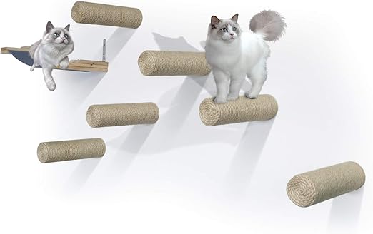 cat wall mounted steps