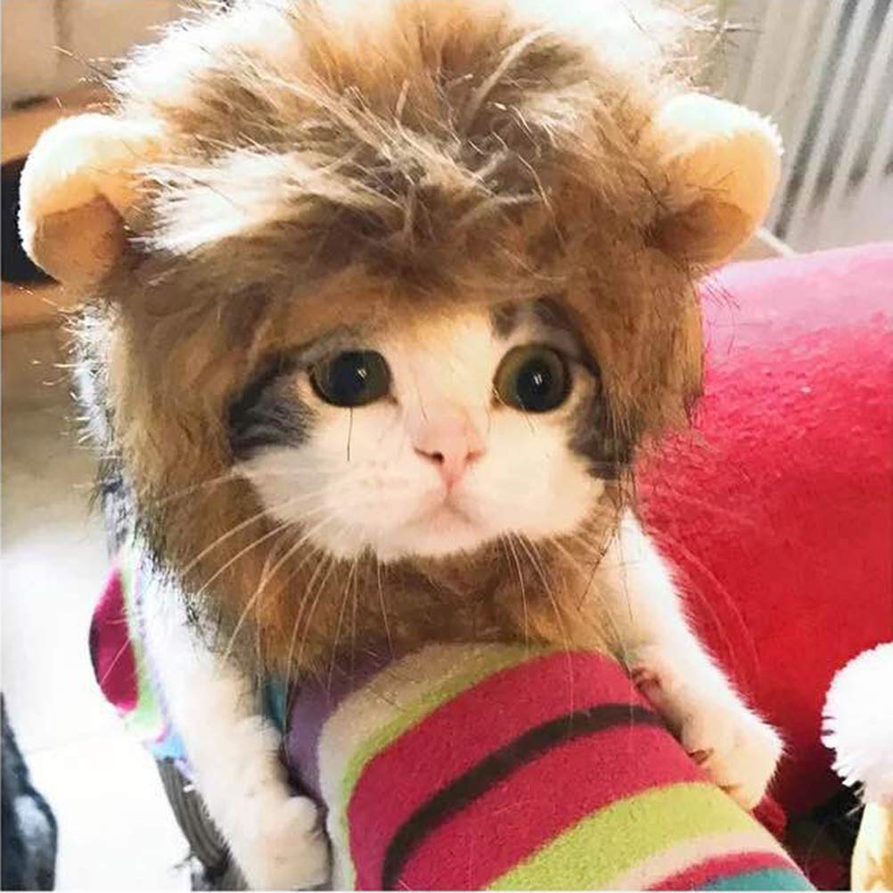 Abbigliamento e accessori taglia S POPETPOP Divertente gatto piccolo  cosplay leone parrucca testa cappello con cappuccio per cuccioli di gatto  autunno inverno vestire costume silenziatore sciarpa urban-earth.co.uk