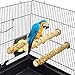 GNB PET Natural Wood Bird Perch Set, Parrot Stand Wood Perches Paw Grinding Stick, Nature Wood Stand Toy Branch Birdcage Stands, 3 Pack