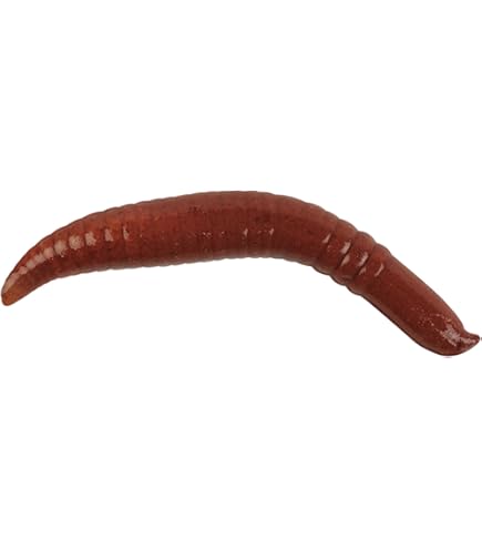 Gulp! Earthworm Red Wiggler 4in | 10cm, Baits & Scents - Amazon Canada