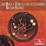 THAT WHICH IS BODILESS IS REFLECTED IN BODIES      image