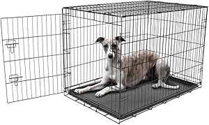 Carlson Pet Products Secure and Foldable Single Door Metal Dog Crate