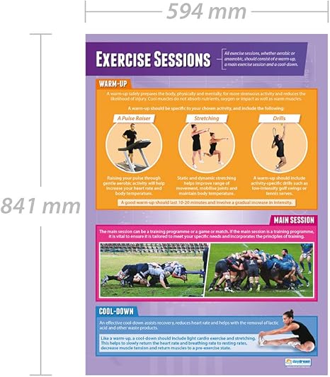 Exercise Sessions Pe Posters Gloss Paper Measuring 850mm X 594mm A1 Physical Education Charts For The Classroom Education Charts By Daydream Education Amazon Co Uk Business Industry Science