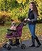 Pet Gear No-Zip Happy Trails Lite Pet Stroller for Cats/Dogs, Zipperless Entry, Easy Fold with Removable Liner, Storage Basket + Cup Holderr, Boysenberrythumb 3