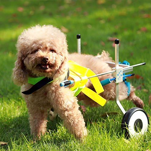 Adjustable Dog Pet Wheelchair, Hind Legs Rehabilitation, 7 Sizes (0-110lbs), Dog Cart,Wheels