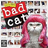 Cover for 9780761188476