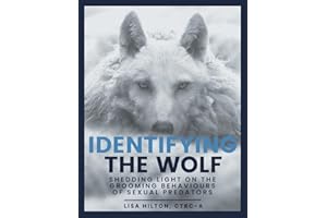 Identifying The Wolf: Shedding Light on the Grooming Behaviours of Sexual Predators