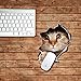 CoSopo 3D Vivid Kid Room Decors Peel & Stick Wall Arts Decals Stickers Murals (Cat)
