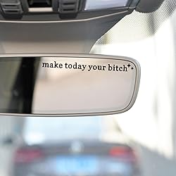 2 x Make Today Your Bi*ch, Rear View Mirror