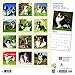Australian Shepherds 2019 12 x 12 Inch Monthly Square Wall Calendar with Foil Stamped Cover, Animals Dog Breeds (Multilingual Edition)