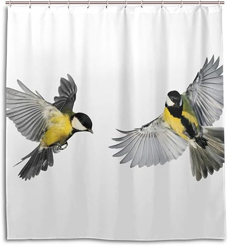 Amazon Co Jp シャワーカーテン 防水 防カビ 加工 浴室 カーテン 風呂カーテン とり 鳥 きれい おしゃれ かわいい 防水 間仕切り 遮像 目隠し用 リング付属 取り付け簡単 170 180cm 北欧 Mskyoo Home Kitchen Amazon Co Jp シャワーカーテン 防水 防カビ 加工 浴室 カーテン 風呂カーテン とり 鳥 きれい おしゃれ かわいい 防水 間仕切り 遮像 目隠し用 リング付属 取り付け簡単 170 180cm 北欧 Mskyoo Home Kitchen