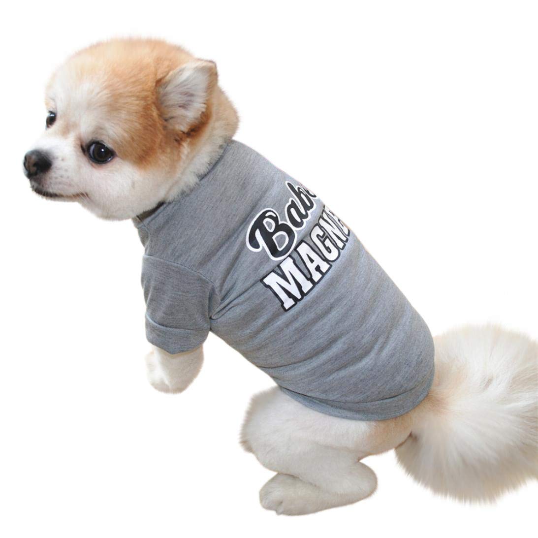 Amazon Co Jp ペット服 セーター パーカー コート トレーナー 英文字 犬服 ドッグウエア 犬の服 ワンちゃん 仮装 秋冬 防寒 快適 可愛い 人気 猫服 お散歩お出かけウェア コスチューム 小型犬 中型犬 クリスマス ハロウィン 記念撮影 おしゃれ 服 ファッション小物