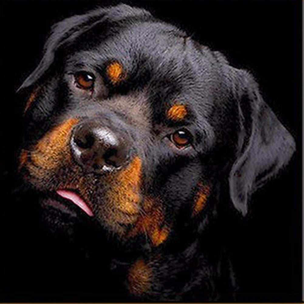 New 5D Diamond Painting Kits for Adults Kids, Awesocrafts Rottweiler Partial Drill DIY Diamond Art Embroidery Paint by Numbers with Diamonds (Rottweiler)