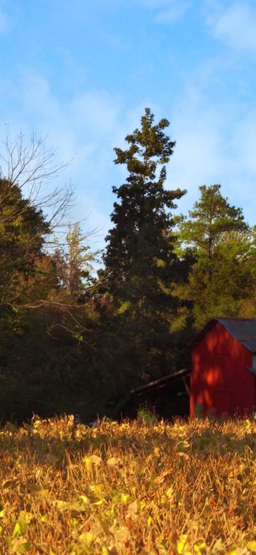 PeelitStickit, Beautiful Nature Wall Murals, ID-1120, vinyl