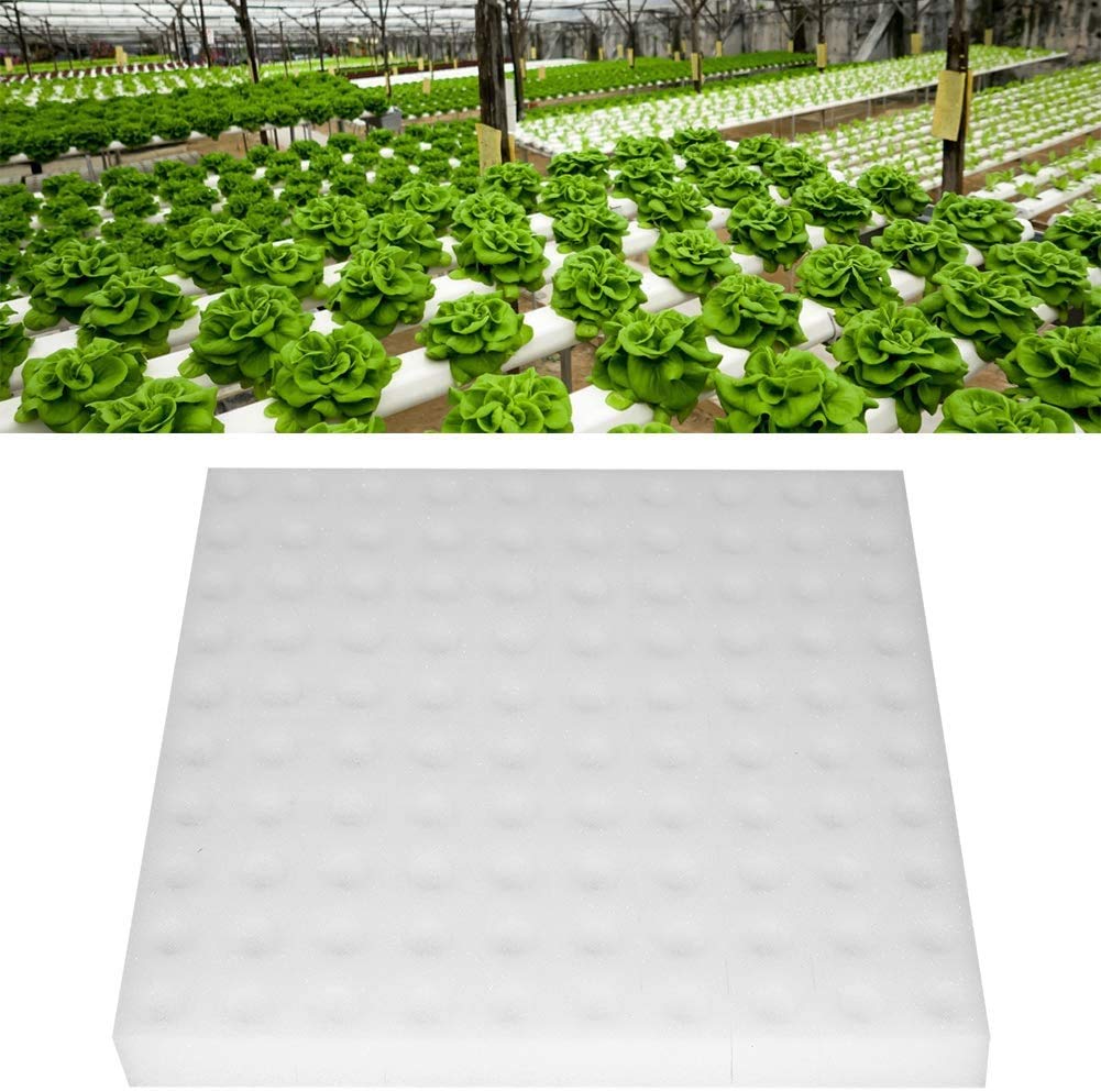 Wifehelper Hydroponic Sponge, 100Pcs Hydroponics Seed Growing Media Sponges Planting Gardening Tool for Small Bud Growth or Grow Seedlings