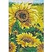 MXJSUA DIY 5D Diamond Painting by Number Kits Full Drill Rhinestone Pictures Arts Craft Home Wall Decor Sunflower 12x16inch