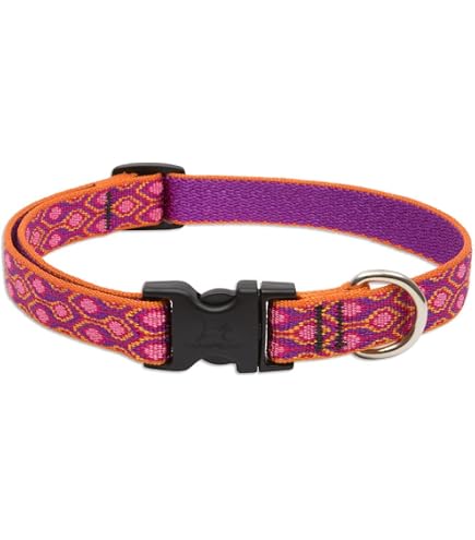 Lupine Jelly Roll Hundehalsband – Verstellbar 38-63,5 Cm, Kausicher, über 15 Designs, Made In USA