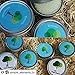 12 Pack of Mighty Gadget (R) Screw Top Round Steel Tin Cans (2 oz)