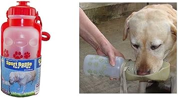 humane society small dogs