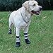 FLAdorepet Non-Slip Large Big Dog Sport Shoes Winter Waterproof Pet Dog Boots for Pitbull Golden Retriever (L(2.8
