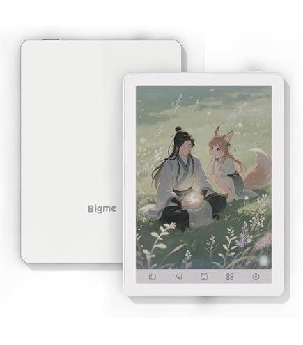 Amazon.com: Bigme B6 Color E-Reader, Colour eBook Readers 6 Inch E