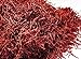 Persian Saffron Spice from Afghanistan by Slofoodgroup, Premium Quality Saffron Threads, All Red Saffron filaments for cooking, tea, Baking and More, Grade 1 Quality 3 Grams
