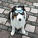 UNITRIP New Version Pet Dog UV Sunglasses Goggles Waterproof Windproof for Medium and Large Dogs