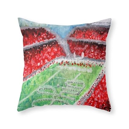 Amazon Com Funy Decor Ohio State Buckeyes Decorative Square