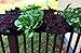 Delectable Garden Cloth 2 Pocket Saddlebag Hanging Vertical Garden Fence Bag Planter Pocket for Yard and Garden Home Decoration-Hangs Flowers on Both Sides of The Fence
