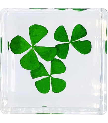 Star Paperweight - Visions Awards