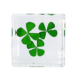 Bon Cube Real Four Leaf Clover Desk Accessory