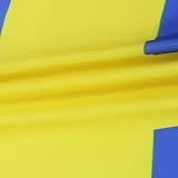 AZ FLAG Sweden Flag Large 5x8 ft 100D Polyester with Grommets view 3