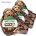 Baxter Boy Premium Grade Roasted Beef Knuckle Bone Dog Treat (3 Pack) – Large All Natural Gourmet Dog Treat Chews – Tasty Smoked Beef Flavor