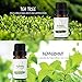 Skymore Essential Oil Gift Set, Top 6 Pure Therapeutic Grade Essential Oil Set, Natural Essential Oils for Aromatherapy Humidifiers Use, 6/10mL-Lavender, Sweet orange, Peppermint, Lemongrass, Tea tree, Eucalyptus