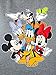 Disney Womens Plus Size T-Shirt Mickey Minnie Mouse Donald Daisy Pluto (Grey, 2X)